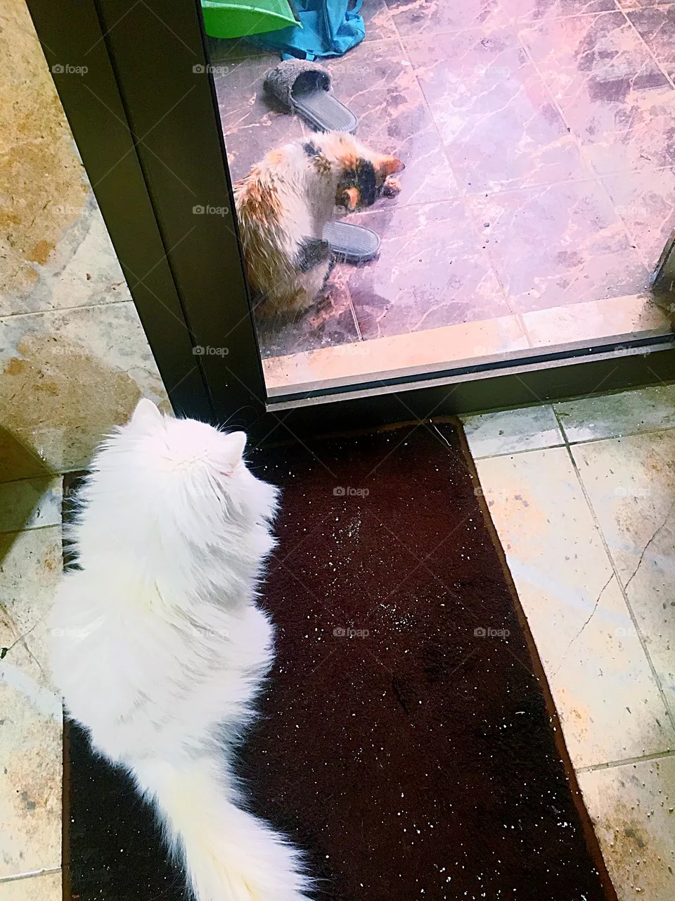 Face-off
