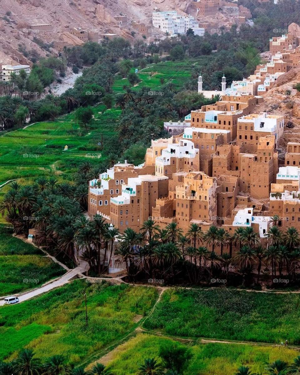 Hadramout's photo, Yemen