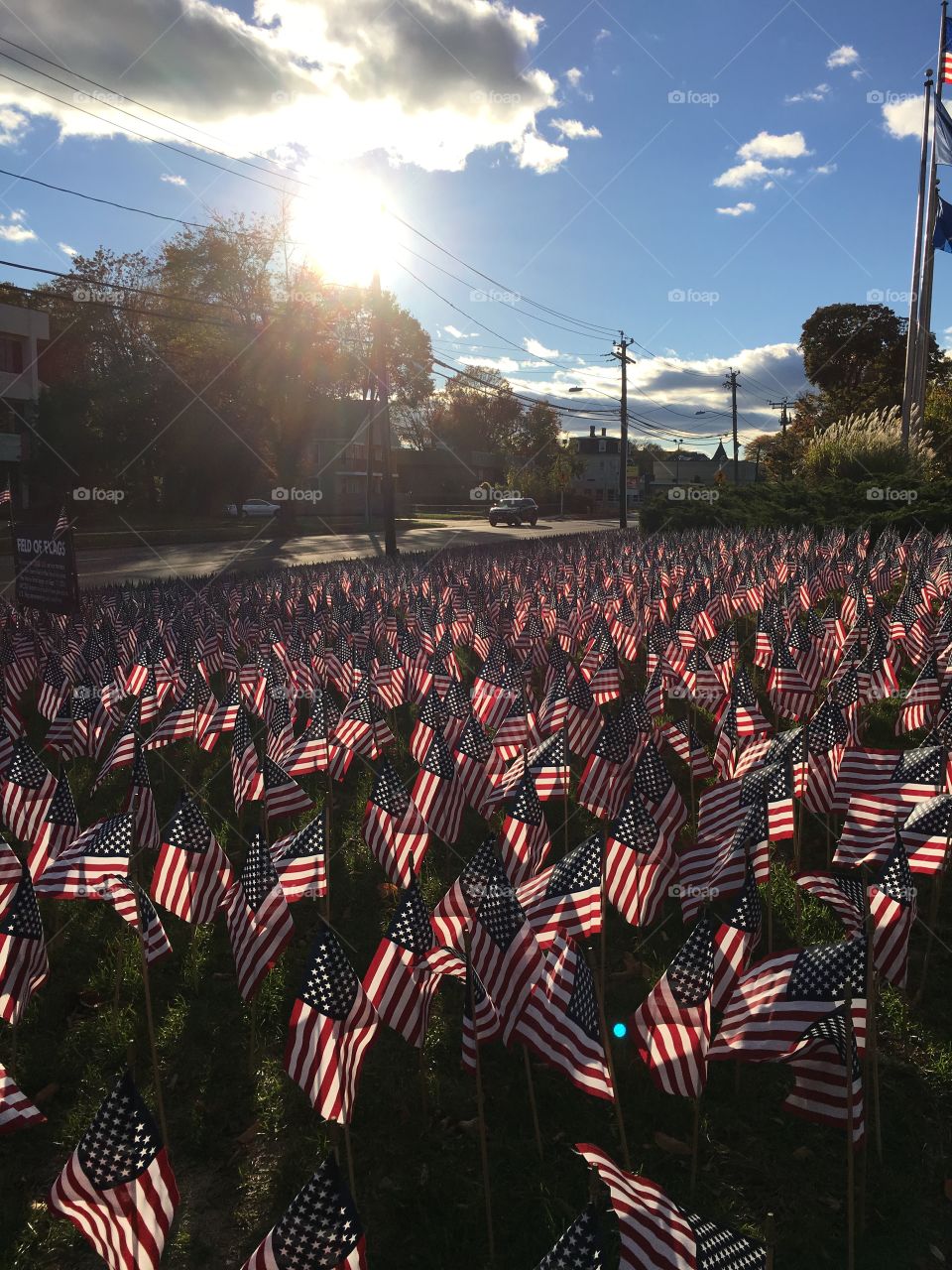 Veterans Day field of flags