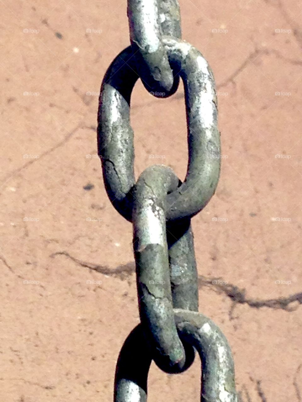 Chains of life