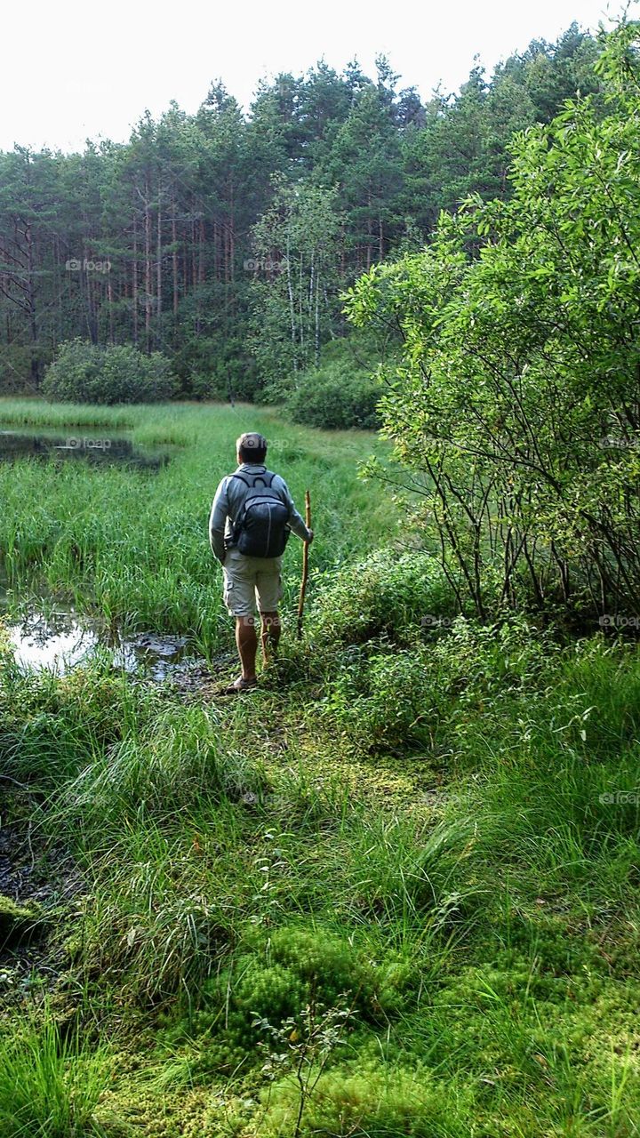 Hike 🚶 Forest 🌳🌲 Lake 🏞️