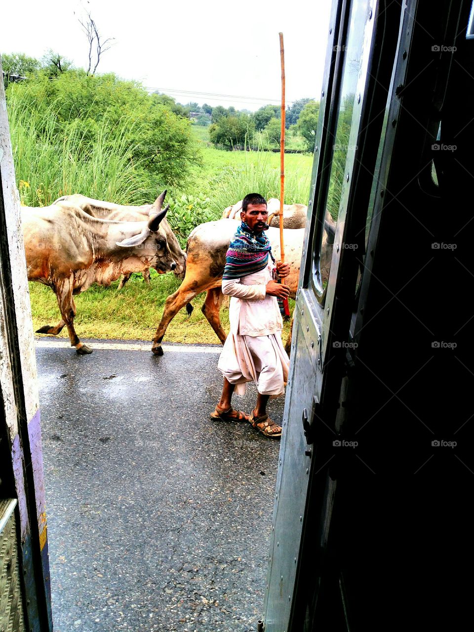 a herdsman looked at me when saw outside the running bus .