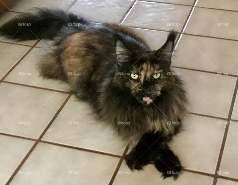 Couldn’t decided which was better.....