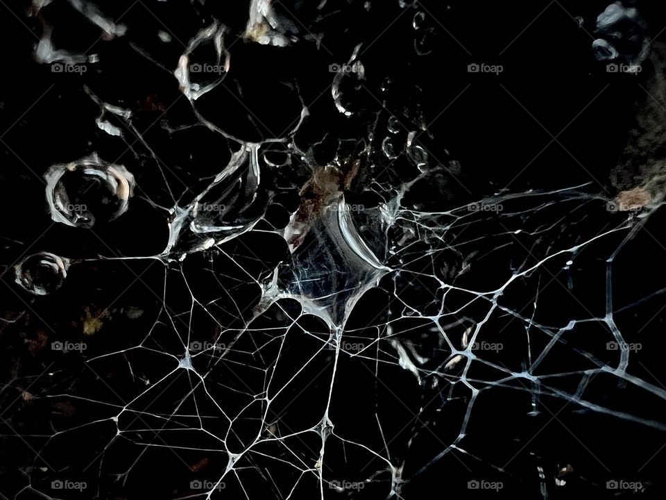 Extreme closeup of raindrops caught in a spiderweb. The background is dark shadow enhances a minimalist pattern.