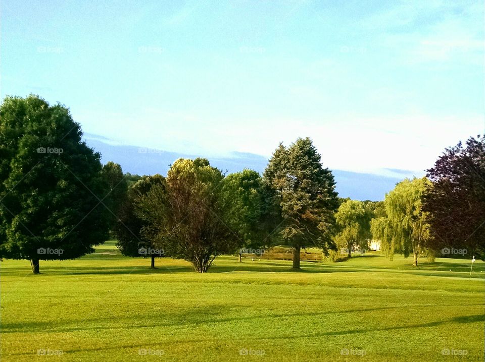 Natures finest. driving by a golf course in Jersey