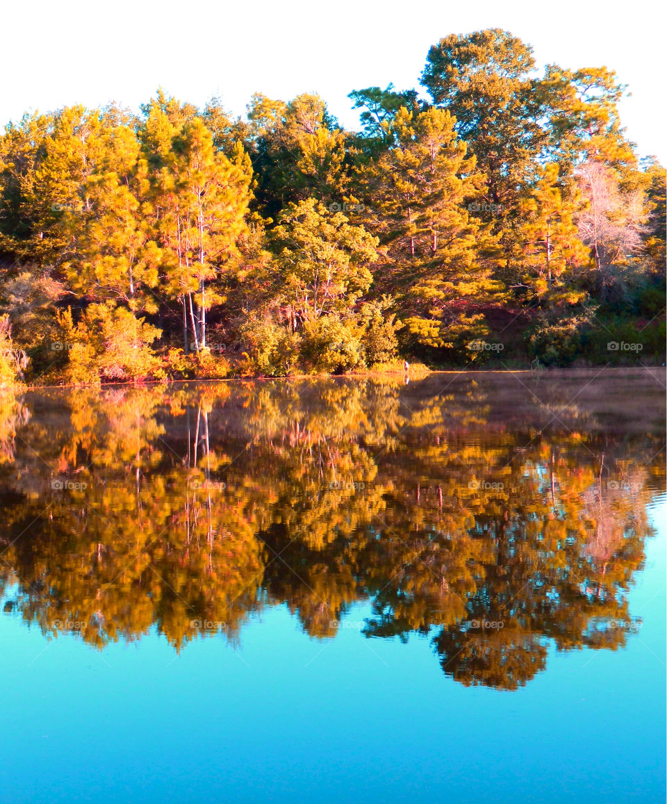 Through my eyes - Double take. A beautiful autumn reflection on the pond under the blue sky