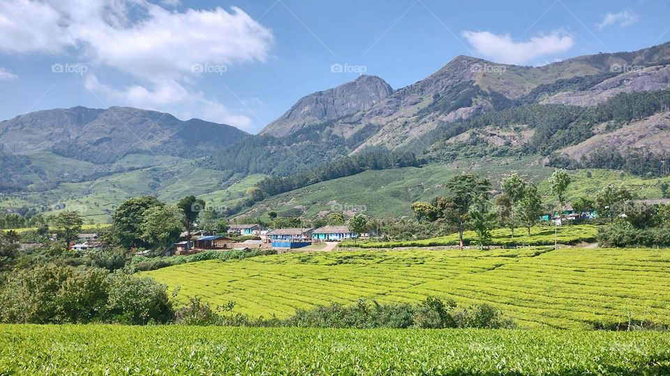 Adopt the pace of nature