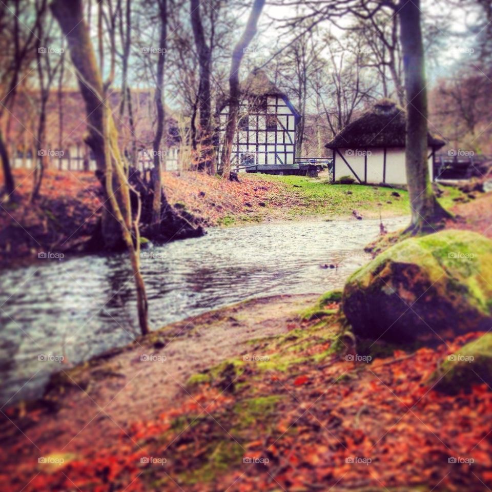 Winter day at Skovmøllen 