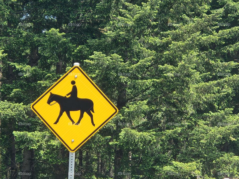 Equestrian crossing sign in Oregon nature park