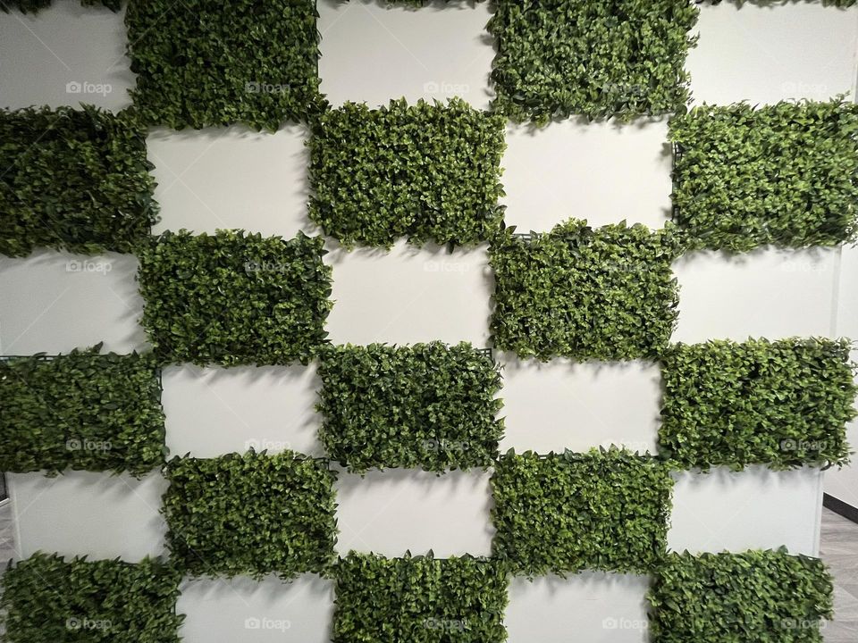 Rectangles on the wall