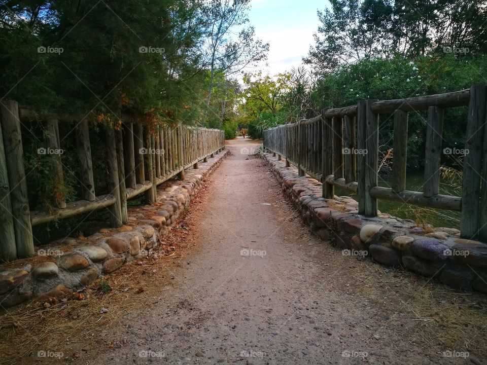 Wood, No Person, Tree, Landscape, Road