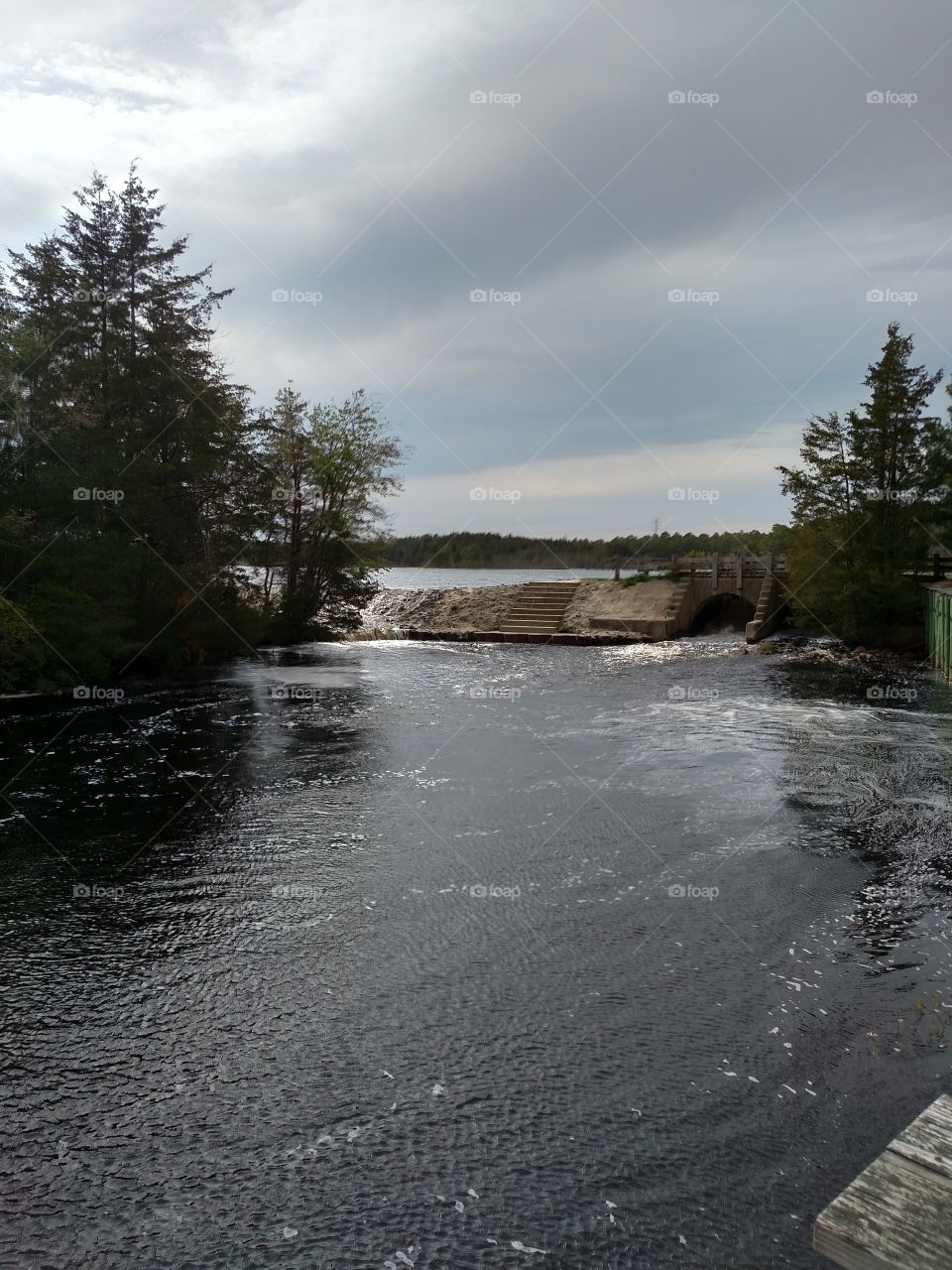 Double Trouble State Park, NJ