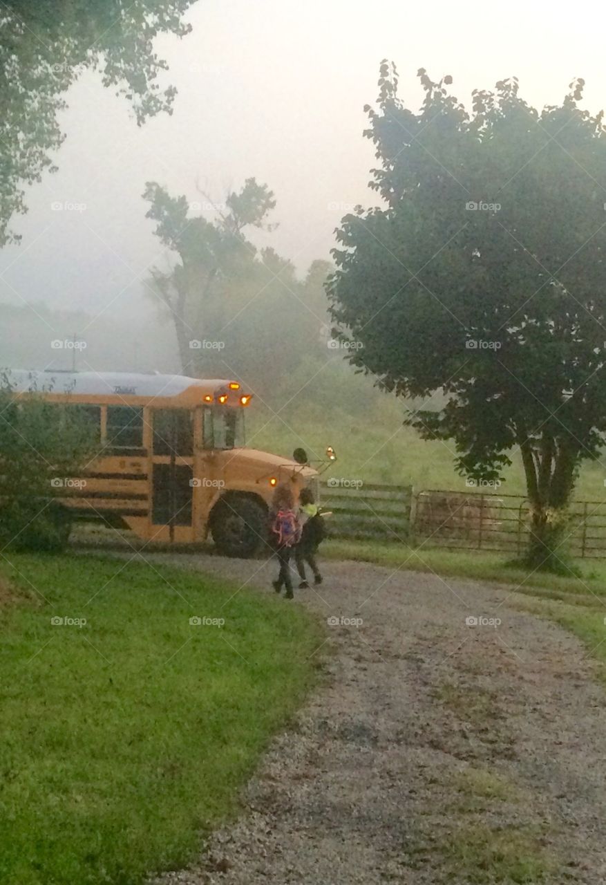 Getting On the School Bus