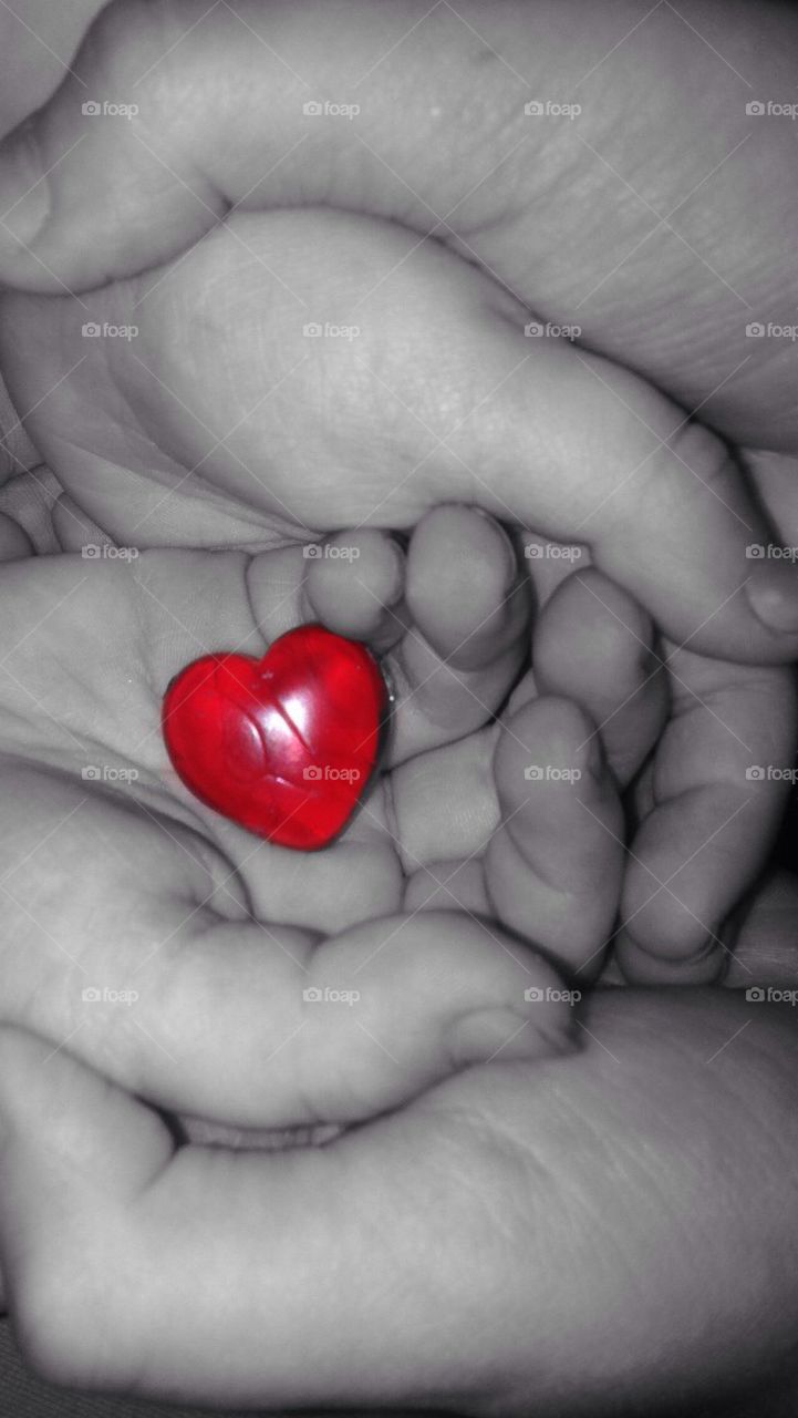 My Heart in your Hands