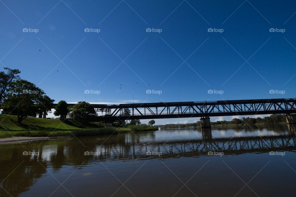 Flying Birds over Bridge