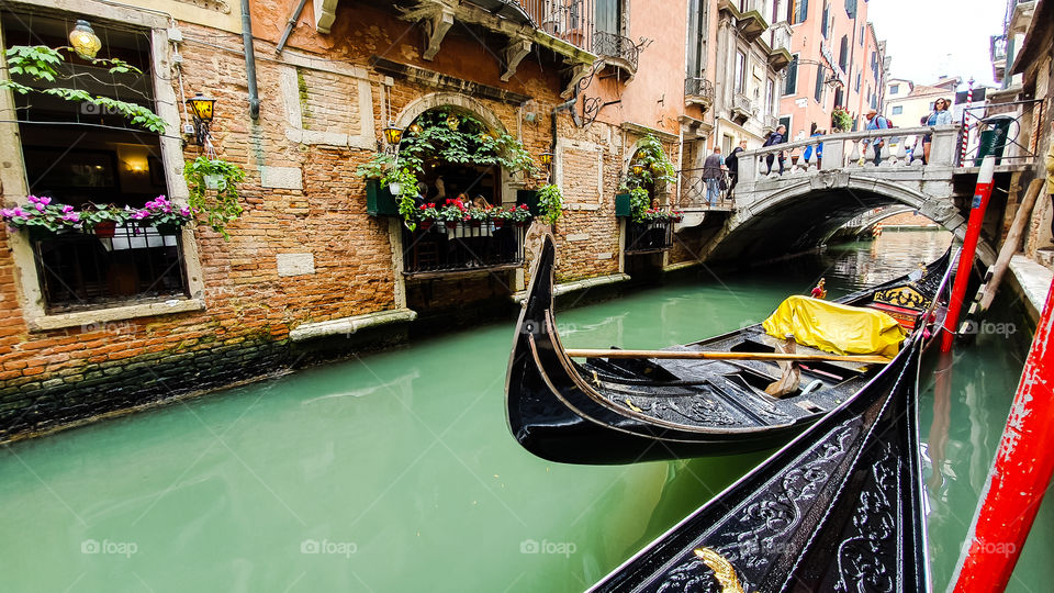 venizia