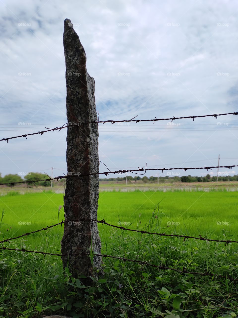 Fencing for protecting the Farms in India