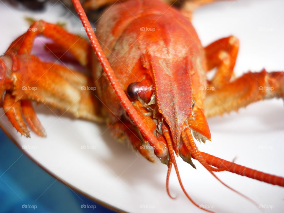 Cooked crayfish in a plate