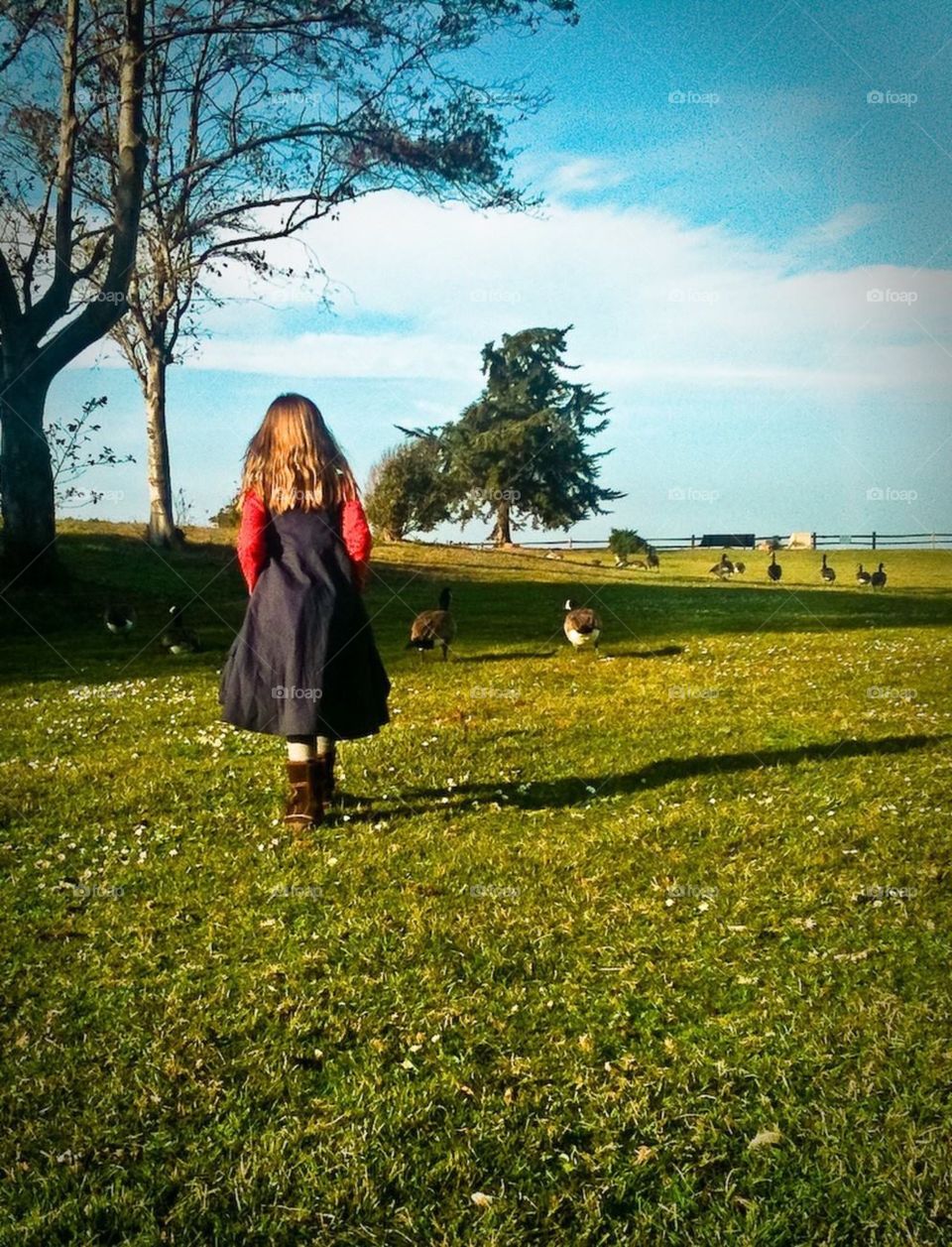 My daughter walking towards the geese, in Coyote Point, Burlingame, California 