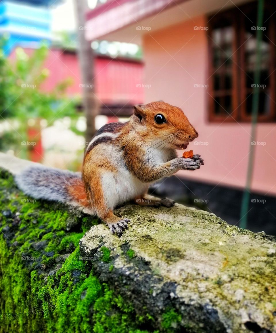 People's best companion 😊❤️ #pets