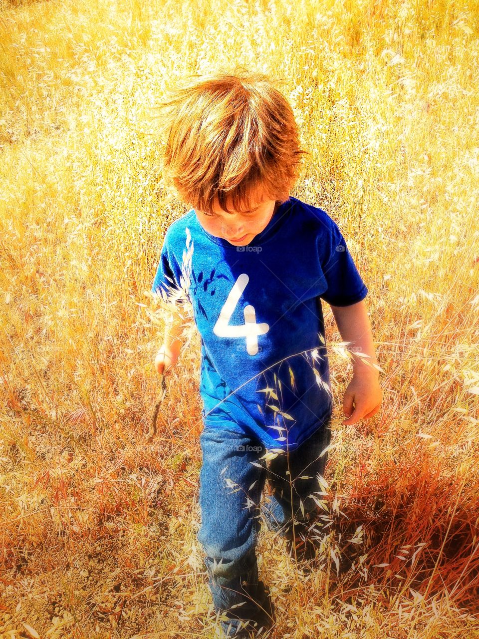 Young Boy During Golden Hour. Young Boy Walking Through A Meadow Of Tall Golden Grass In The Early Morning
