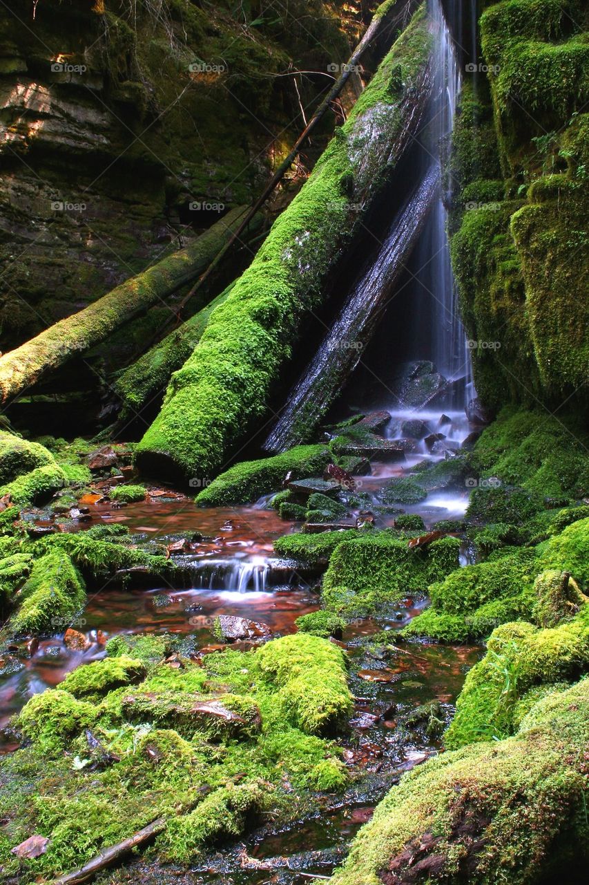 Amazing green lush waterfall