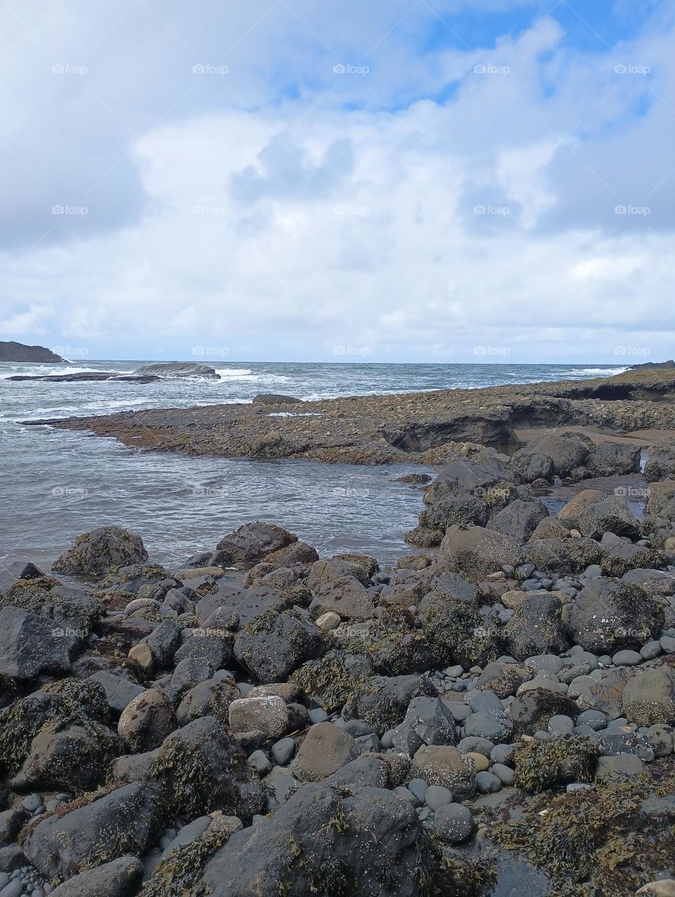 beautiful and gorgeous picture of rocky Oregon coastline, cloudy wonderful day