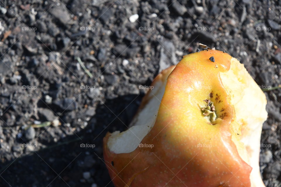 eaten apple