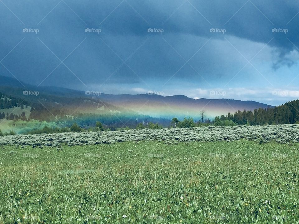 Rainbow over the Valley 