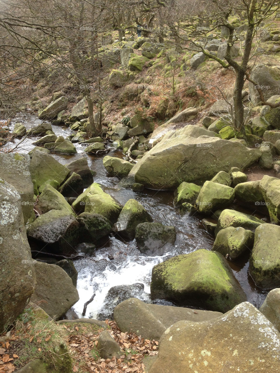River and rocks at Padley Gorge