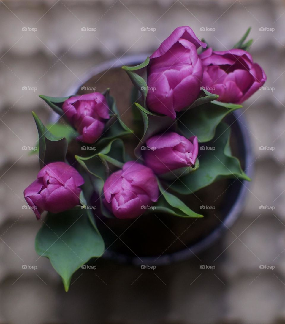 Spring pink Tulip Arrangement 
