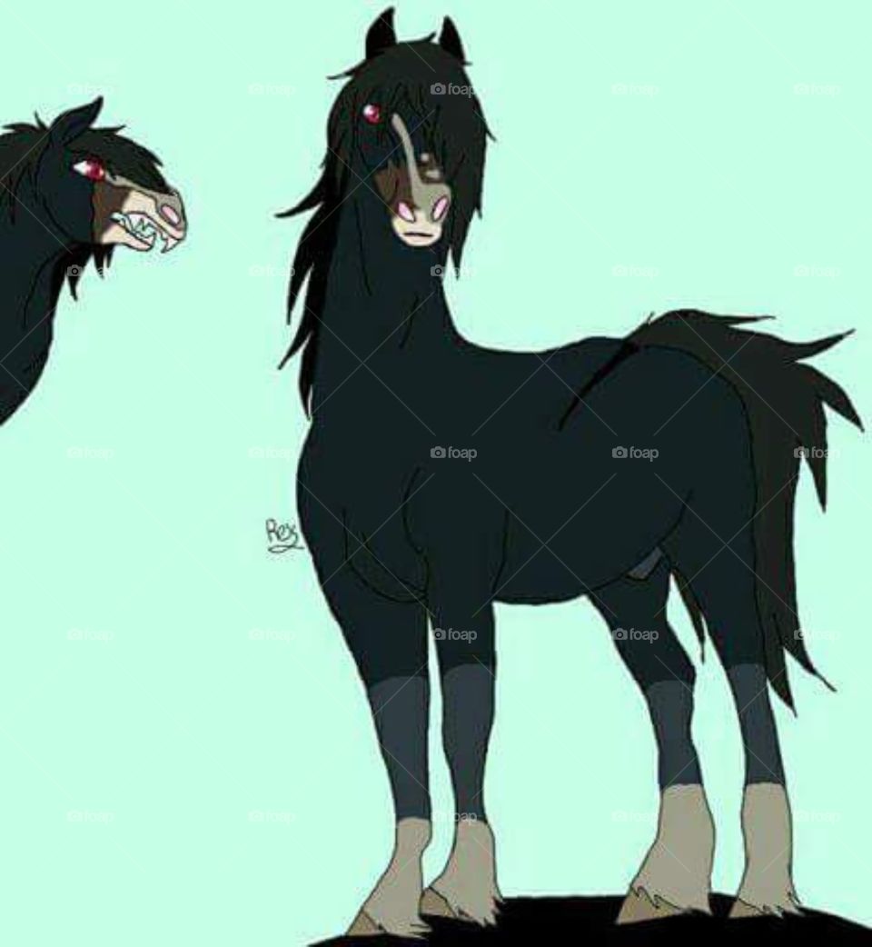 graphic design horses