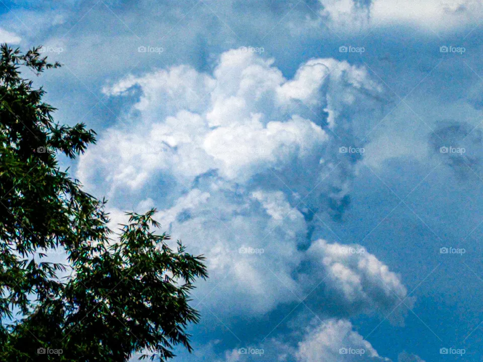 I want to show white clouds and blue sky in this photo.  The sky looks very beautiful with clouds and blue sky.