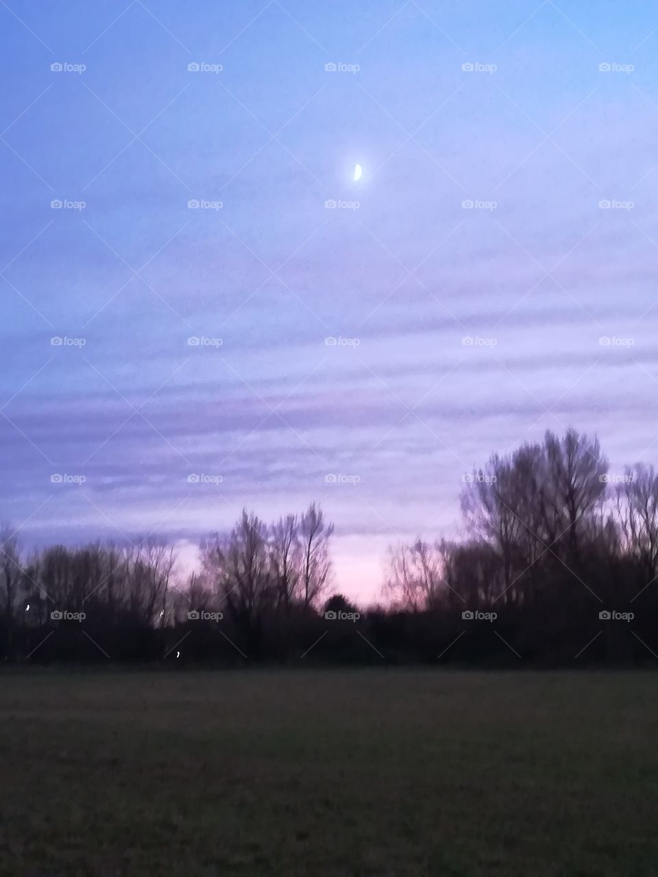 Dont blame it on the moonlight