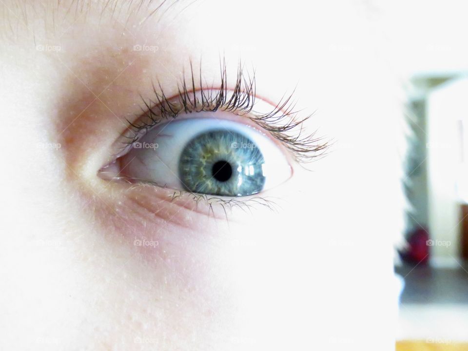 Close-up of human eye