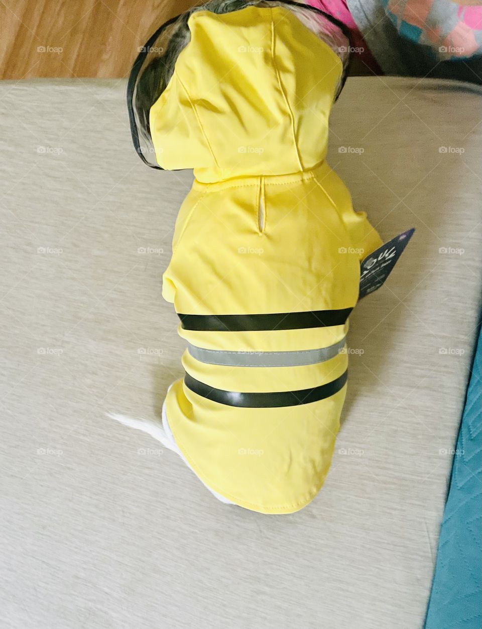 Cute yellow raincoat, back view 