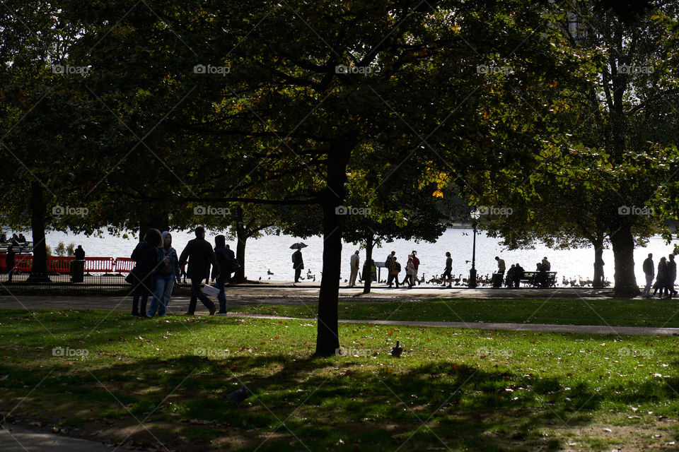 Park autumn afternoon