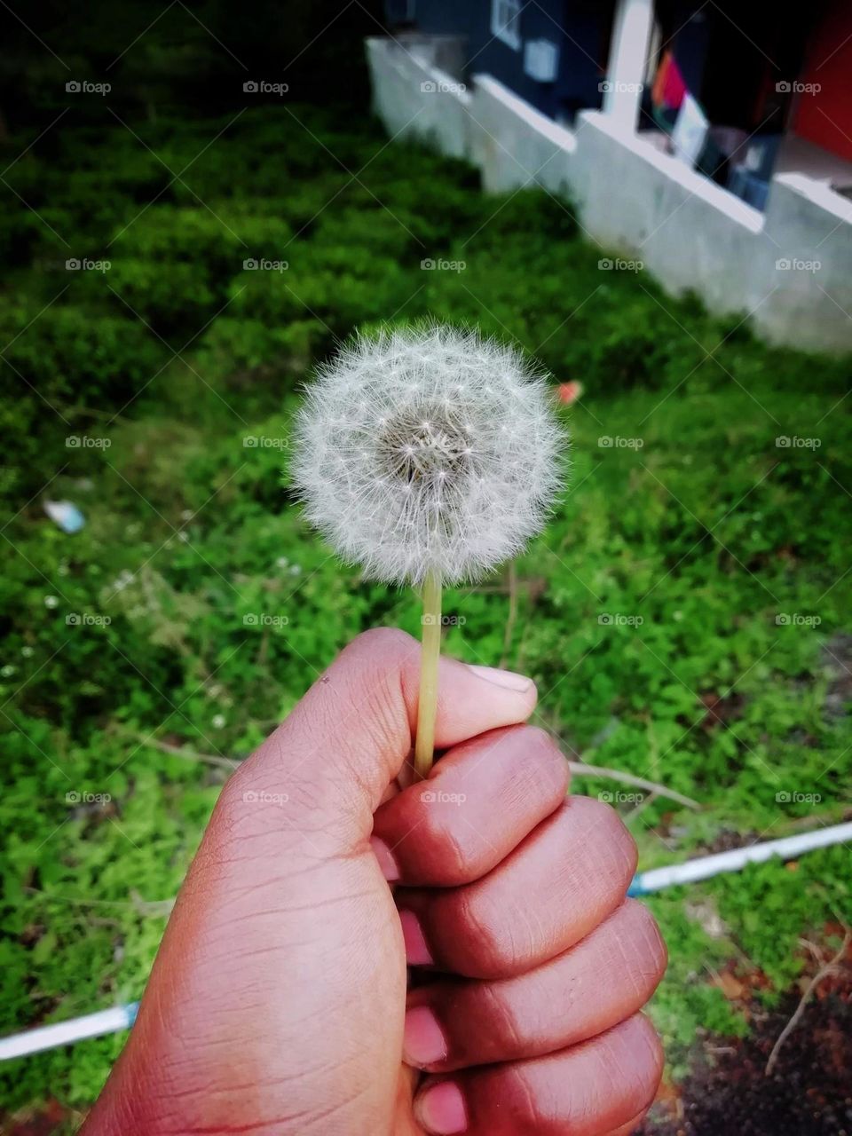 Dare to live the life you've always wanted.” ...