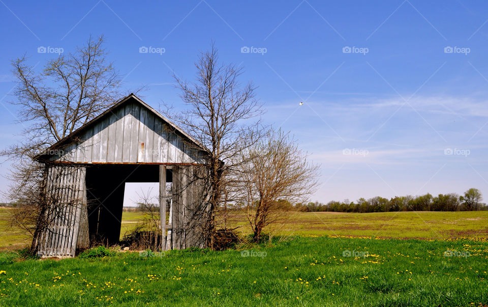 Barn, No Person, Landscape, Grass, Rustic