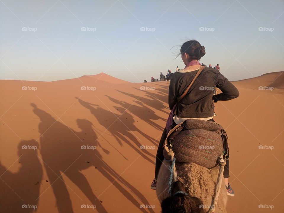 Riding Camels in the Sahara Desert in Morocco - Woman/Girl Looking Out (Back of Her Head) at the Shadows of the Line of Camels on the Sand Dunes