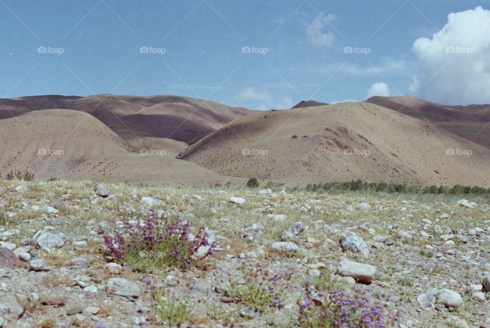 Rocky Mountains. Shot on film 