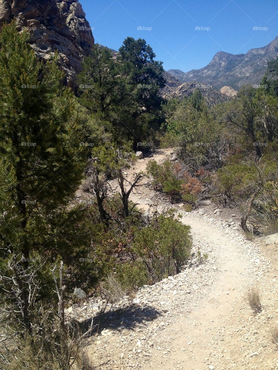 Red Rock Trail