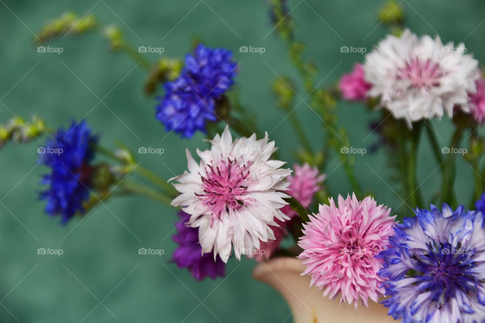 Cornflower arrangement 