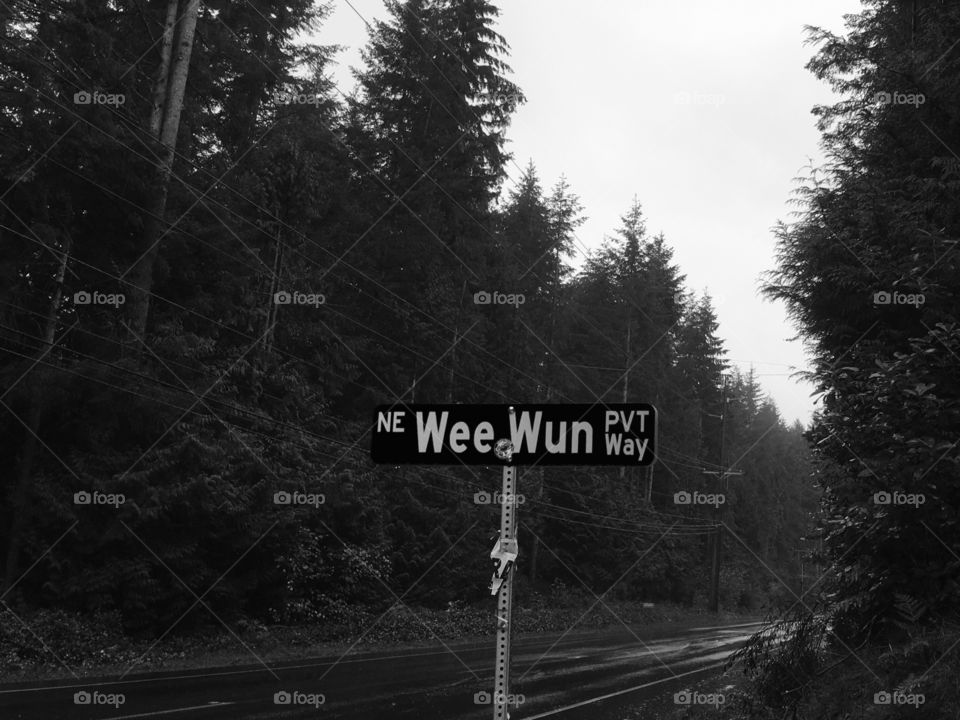 Road, Outdoors, Tree, Nature, No Person