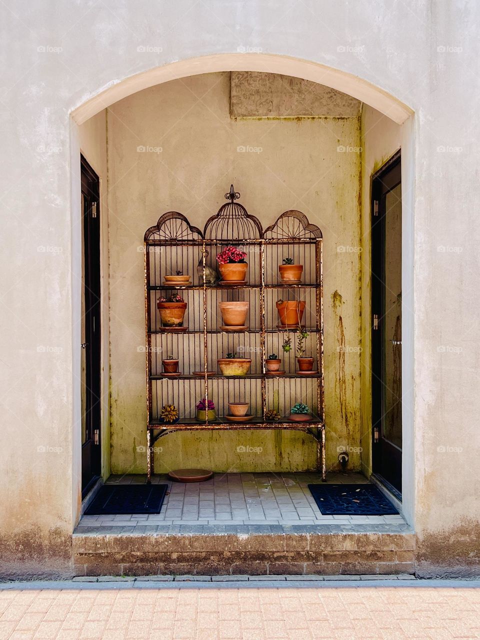 Weathered iron rack stands against a weathered stucco exterior of apartment building. Multiple terra cotta pots with a variety of small plants adorn the arched entrance of the building 