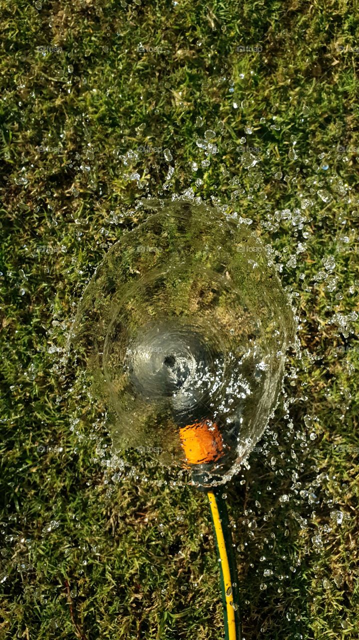 energetic watering green grass lawn with a metal sprinkler