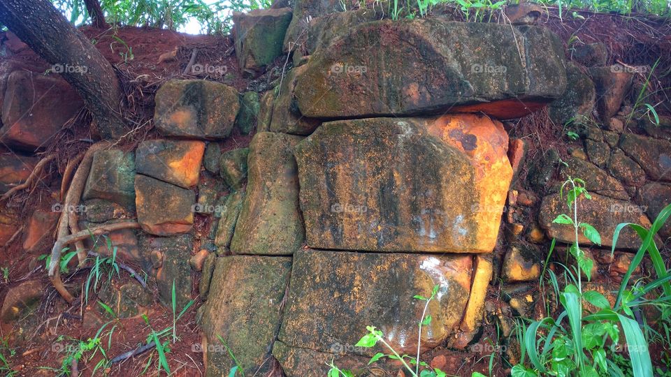 Rochas. Raízes no barranco de pedras grandes, sobreposição natural da natureza. O interior do solo.