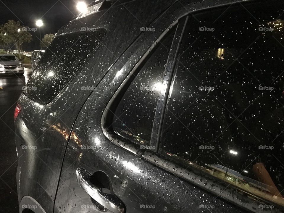 Autumn rain reflections 