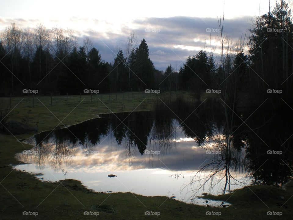 Sunset reflection in a farm pond