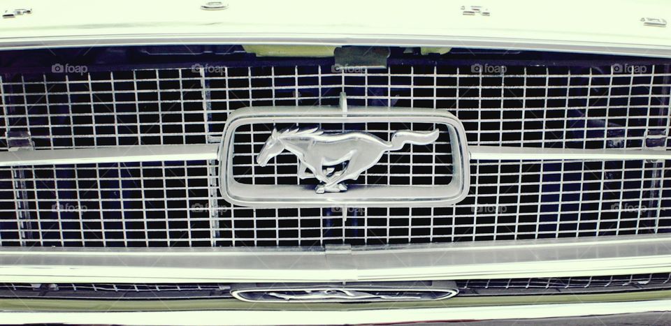photo of a shinney chrome mustang car grill.